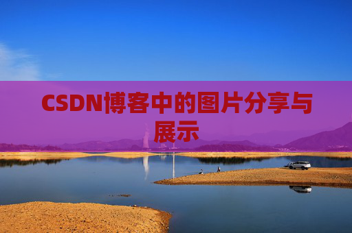 CSDN博客中的图片分享与展示